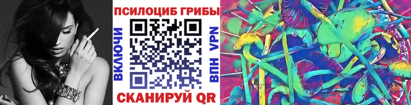 цена   Липецк  гидра сайт  Псилоцибиновые грибы мицелий 