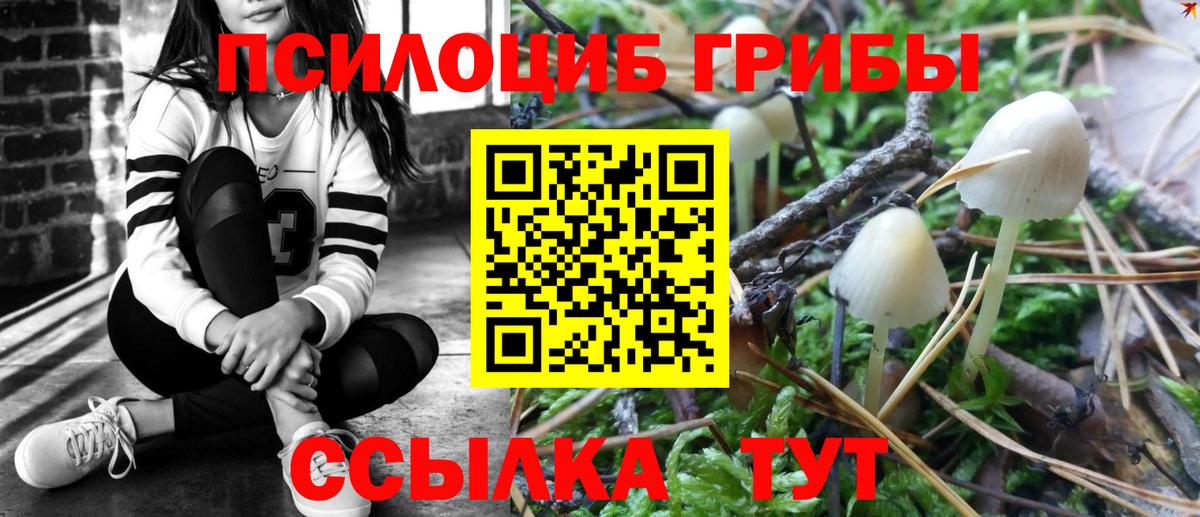 Галлюциногенные грибы Cubensis Липецк