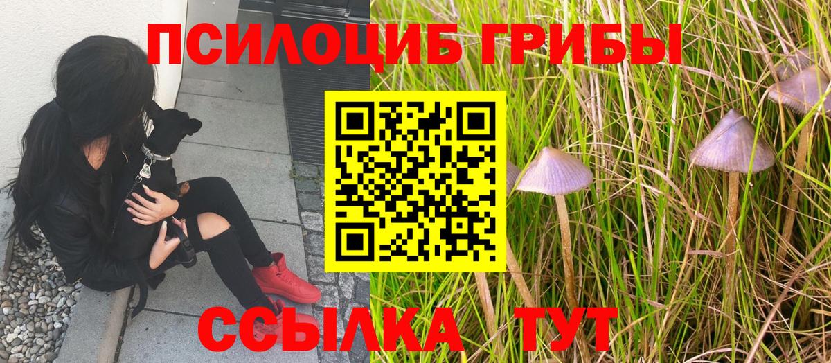 Галлюциногенные грибы GOLDEN TEACHER Липецк
