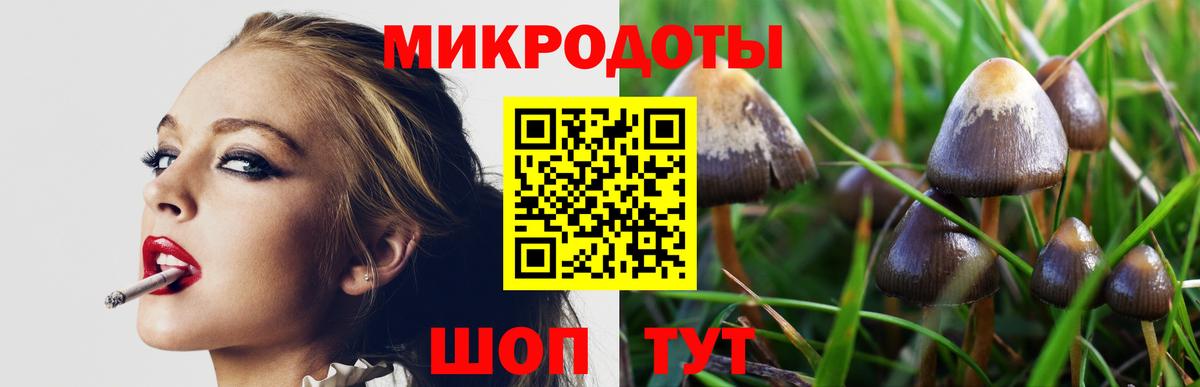 Липецк  Псилоцибиновые грибы прущие грибы  Псилоцибиновые грибы мухоморы  Вход с VPN 